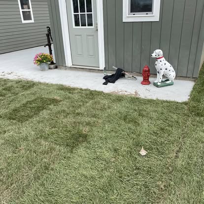 Concrete pad outside backyard shed